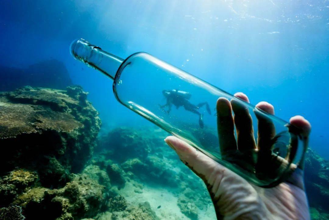 逃出熊蜂森林
